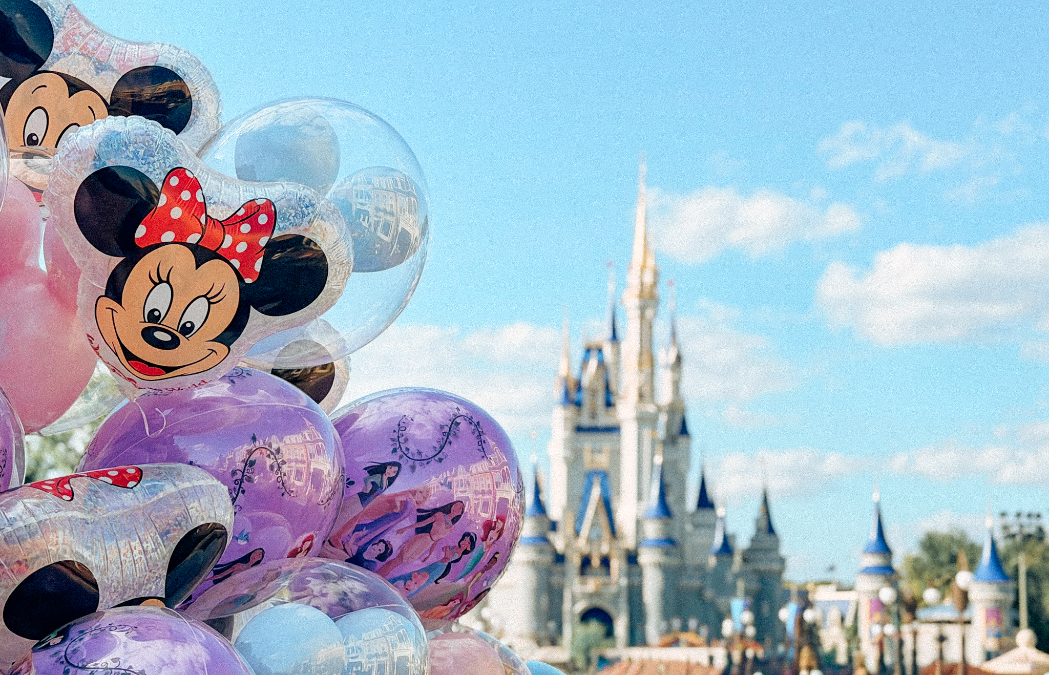 Disney Parks Horizontal Photo Option 2