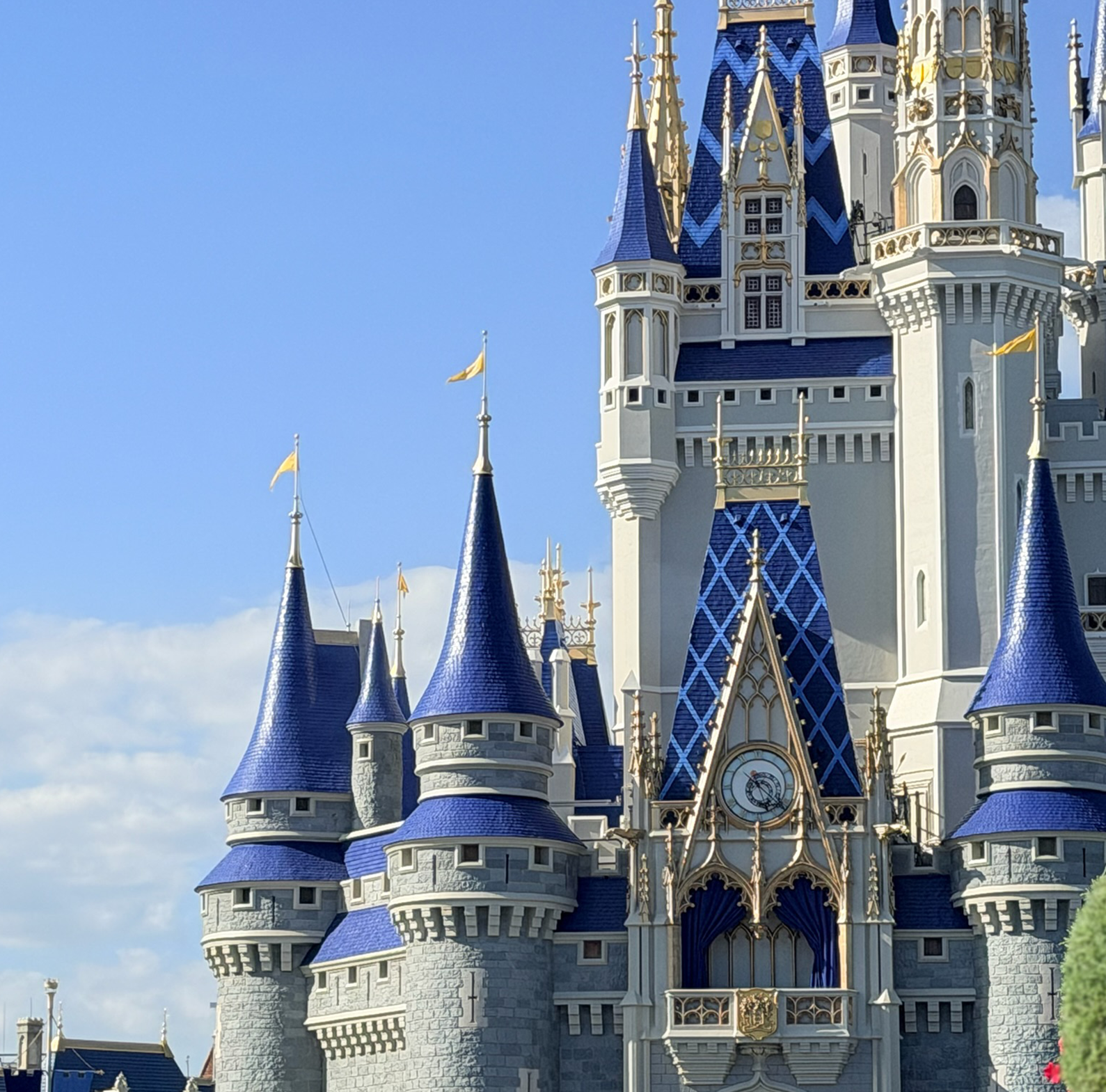 Blue castle